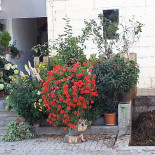 Casa Da Massa Exterior