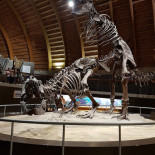 Panorama À l'intérieur