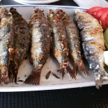 A Fonte Comida