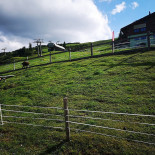O Pipo Exterior