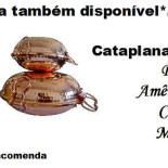 Elemento Alpha, Tapas Café Logo
