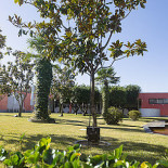 Troia Exterior