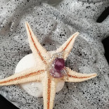 Restaurante Toino Zé O Mata Porcos Bebida