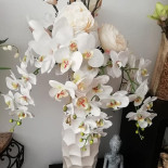 Restaurante Toino Zé O Mata Porcos Bebida