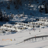 Frango Do Mercado Extérieur