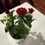 Lagar Do Avô Boisson