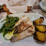 O Ciclo Comida