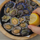 Sol E Mar Essen
