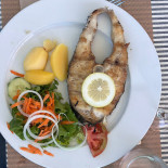 Rainha Comida