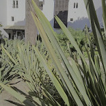 Jardim Colonial at Sheraton Algarve Extérieur