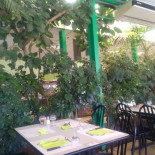 Magic Cactus Extérieur