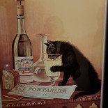 Bluefin Boisson