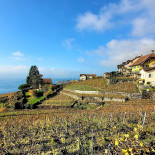 Bela Vista Extérieur