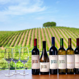 Quinta Do Quetzal Boisson