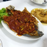 Mota Comida