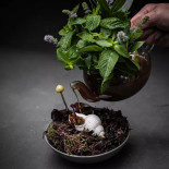 Fio De Azeite Taberna Boisson