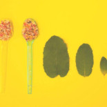 Pop Tapas Carte