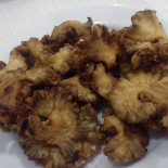 Kasta Comida