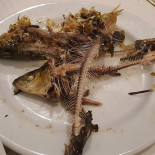 A Arte Da Comida Comida