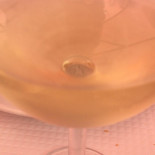 Alem Tejo Boisson