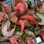Alem Tejo Cibo
