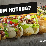 Cachorro Vadio Comida