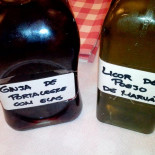 Gustus Bebida