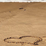 Boa Vida By Dr. Bernard Bebida