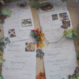 Picoceano Carta