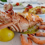 Bucha Wine Tapas Nourriture