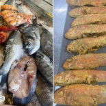 Summer Comida