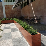 Saber E Sabor À l'intérieur