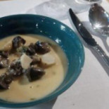 Cattaleya Comida