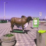Serravda Estrela Essen