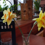 Restaurace Radnice Comida