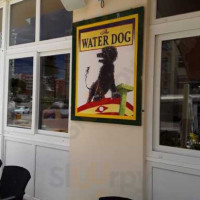 Waterdog Pub outside