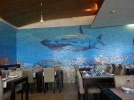 Tubarão Da Bebé food