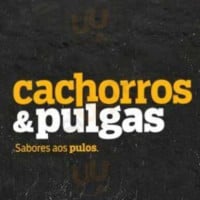 Cachorros Pulgas food