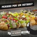 Cachorro Vadio Nourriture