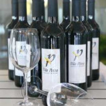 Bucha Tapas Wine Cibo