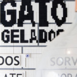 Gato Gelados Nourriture