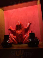 Red Frog Speakeasy food