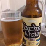 Seascale Comida