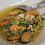 Sol e Pesca Comida