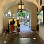 Deer Comida
