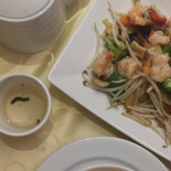 Xangai Comida
