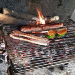 Ucerta Comida