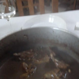 Coutada Nourriture