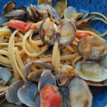 Seashell Comida