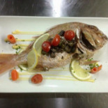 Seashell Comida